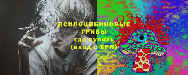 соль ск Балахна